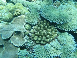 安全停止中 安全停止中