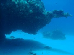 カミグー オーバーハング カミグー オーバーハング