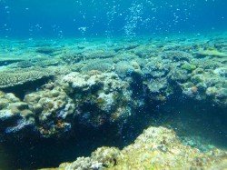 ダイバーの泡！不思議な風景