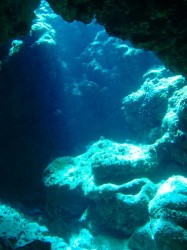 知志　光のシャワー