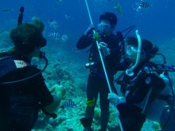 マジシャン渡部! マジシャン渡部!