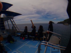 日食めがねで観察! 日食めがねで観察!