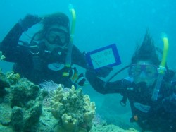 ガッツポーズ！