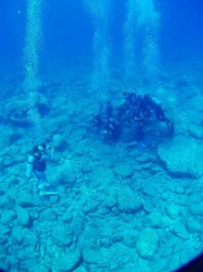 渡部チーム　記念写真撮影中