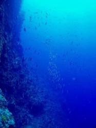 黒島北ツインロック 黒島北ツインロック