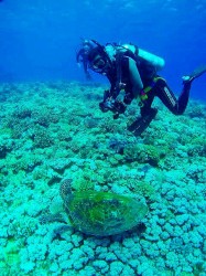 黒島北ツインロック 黒島北ツインロック