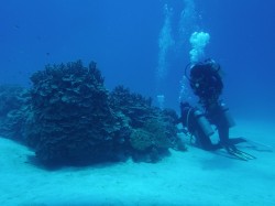 砂地とサンゴ・・・（カミグー　儀志布島）