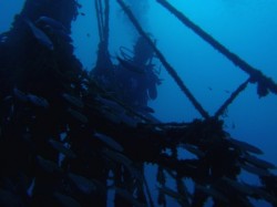 本日のガイド　（ヤマザキのシルエット）