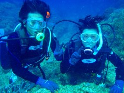 ソフトコーラルの広がる様子を満喫　（沖縄本島　砂辺カリフォルニアサイド）