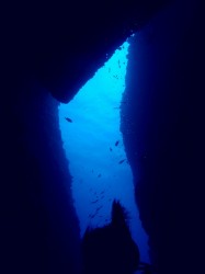 ホーシュー ホーシュー