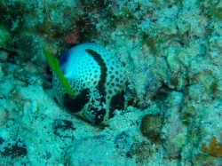 あ～～～～！！