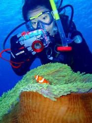 090921n-e3818be3818fe3828c