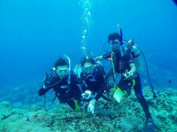 ケラマ体験ダイビング