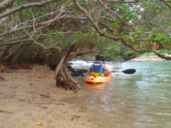 浅瀬への接近はカヤックならでは。