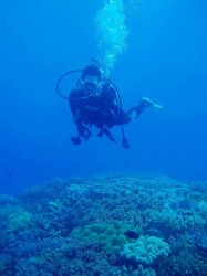 OWコース　初日からとっても優雅にソフトコーラルの上を泳げていました！！