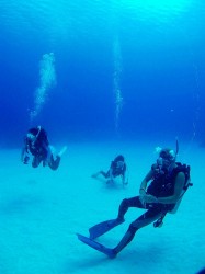 慶良間ダイビング　パライソ