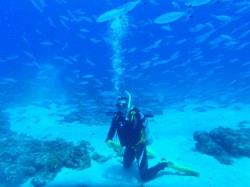 グルクントルネード グルクントルネード