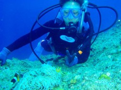 クマノミと (恩納村 ホーシュー) クマノミと (恩納村 ホーシュー)