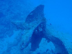 エモンズのプロペラ！