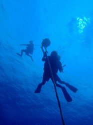わくわくしながら潜降　（沖縄本島　USSエモンズ）
