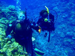 ツーショット! (ケラマ 黒島南) ツーショット! (ケラマ 黒島南)