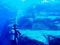 ウチャカシ ウチャカシ