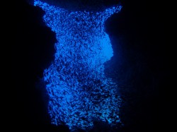 万座ドリームホール 万座ドリームホール