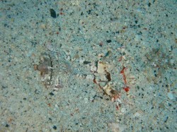 わかりますかーー？　答えは一番下に・・・