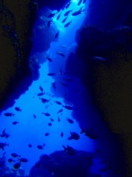 瀬底島　ラビリンス