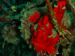 派手ですね~~ 091020w-2