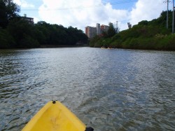 あっと言う間に離されました・・・