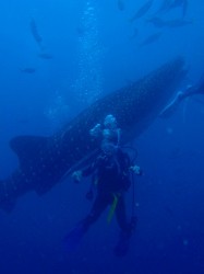 おお！でかいっ