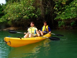 天気もよくなり、マングローブ観察へGO! 天気もよくなり、マングローブ観察へGO!