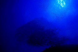 大物狙いで行きましょう！！