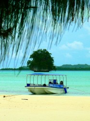 パラオへＧＯ！！