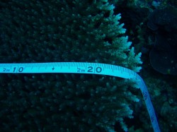 efbc90efbc99efbc91efbc90efbc92efbc92e382b9e382a4e38395e38388-2 efbc90efbc99efbc91efbc90efbc92efbc92e382b9e382a4e38395e38388-2