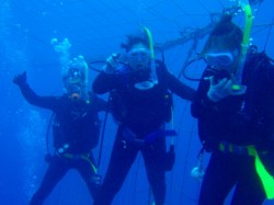 ジンベイ達成！