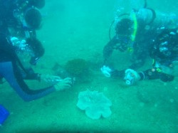 トウアカ撮影シーン