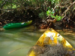 カヤックにて掃除です！！