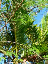 緑も明るいですっ