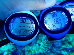 １０m以浅に戻ったら・・・