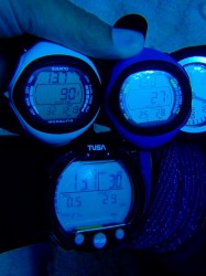 砂地で見比べてみたら