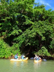 ついさっきまで雨が降っていたのに。