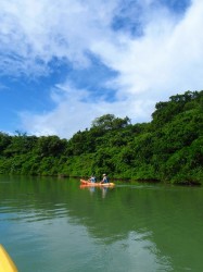 暑くなってきた～