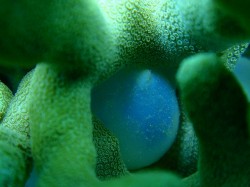 つやつやピカピカですっ