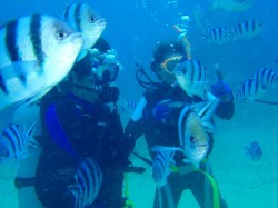 091117n-e383ade382afe382bbe383b3efbc89