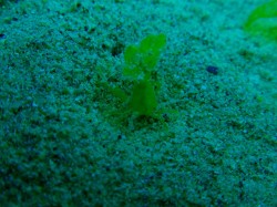 可愛かった。 可愛かった。