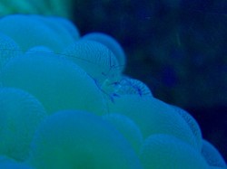 ちょっとピンボケかな? ちょっとピンボケかな?