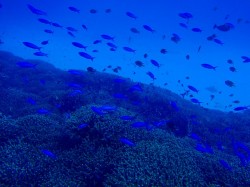 091122e3838fe3838ae382b4e382a4