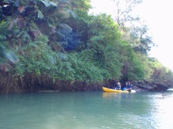 ちょっとひと休憩